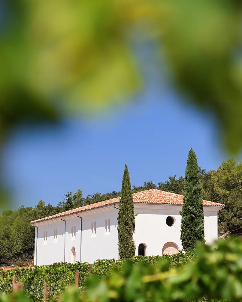 Le vignoble La Calisse